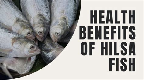 10 Amazing Health Benefits Of Hilsa Fish - Health & Healthier