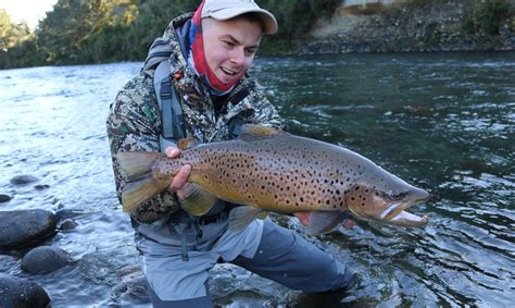 Fly Fishing Taupo Trout | Information and Tips