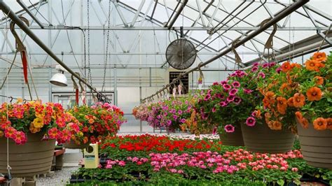 Everything You Need To Know About Plant Nursery Design - Aik Designs