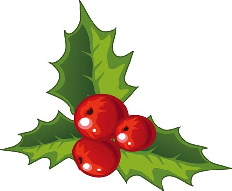 Holly Christmas decoration - Holly decorations for Christmas png ...