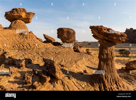 The mushroom rock formations, Ennedi Plateau, UNESCO World Heritage ...