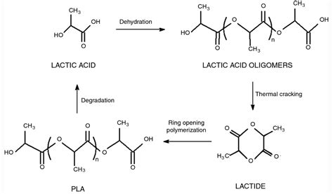 PLA (Polylactic Acid): Definition, Applications, and Different Types ...