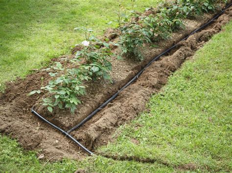 How To Install Garden Irrigation: Ways To Put In Irrigation Systems ...