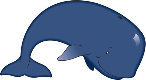 Baby killer whales clipart - WikiClipArt