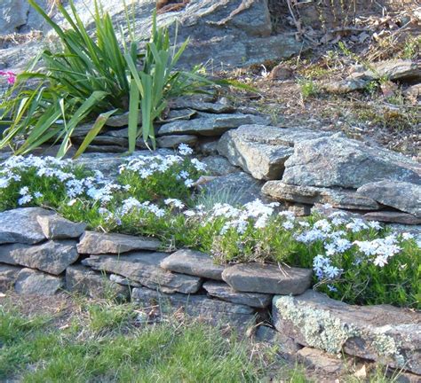 Designing a Rock Garden: Landscaping With Rocks and Boulders | Dengarden