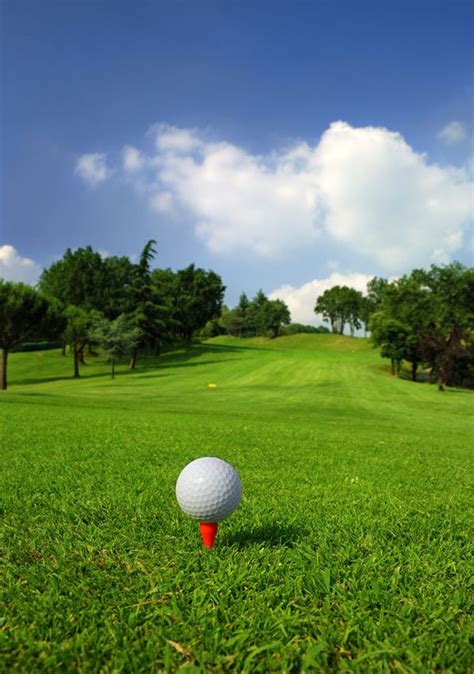 Golf ball on green grass with golf course background 01 | Golf courses ...