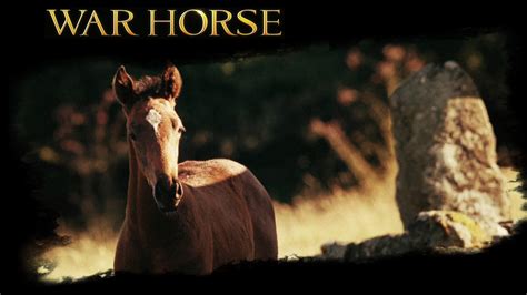 War Horse - War Horse The movie Wallpaper (28220233) - Fanpop