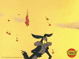 Wile E Coyote GIFs - Find & Share on GIPHY