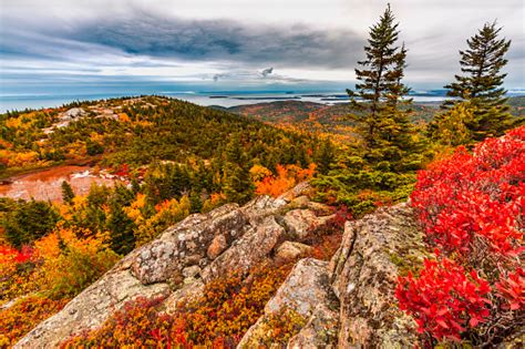 Fall Foliage Atop Cadillac Mountain In Acadia National Park Maine Stock ...