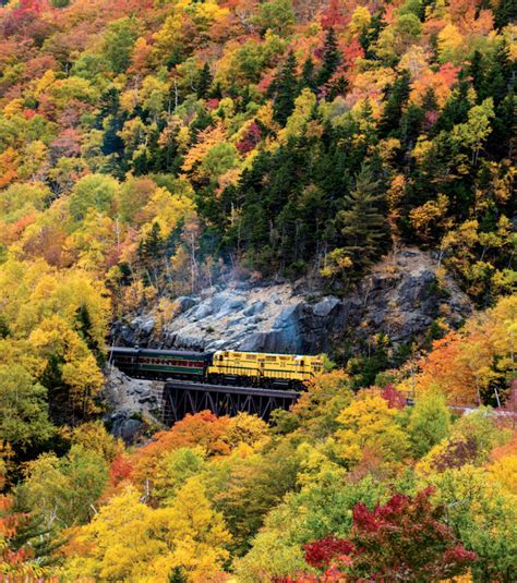 The Best 5 Fall Foliage Trains in New England - New England