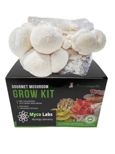 Lion's Mane Mushroom Grow Kit (5lbs)