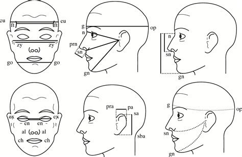 Percipo : What is Face Description?