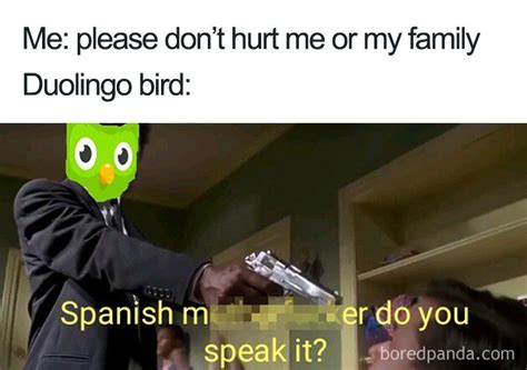 30 Hilarious Duolingo Memes | Bored Panda