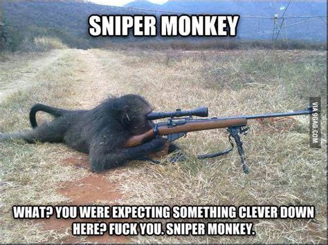 The best sniper memes :) Memedroid