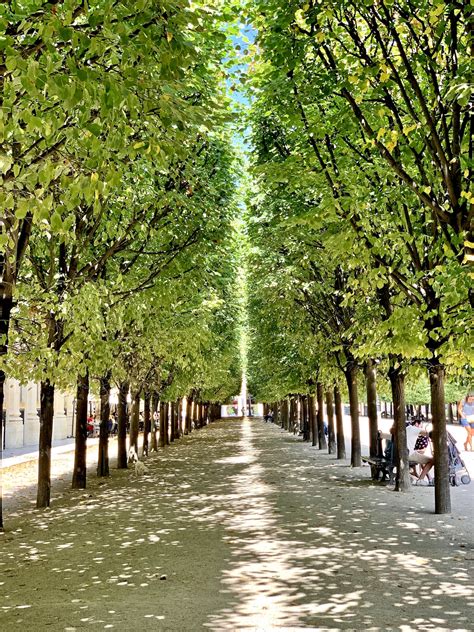 A Walk Through Palais-Royal | Favorite Paris Walks | Landen Kerr