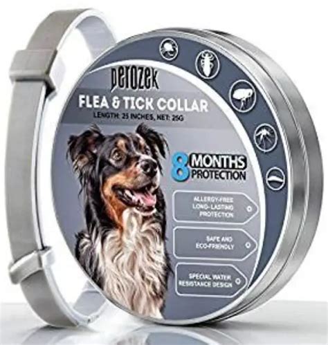 10 Best Dog Flea Collars Reviewed in 2024 | TheGearHunt