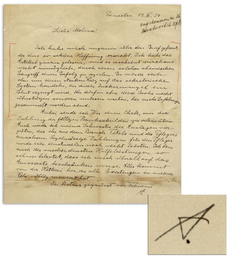 Einstein's Letter Talking About 'Hitler-Insanity' to Be Auctioned ...