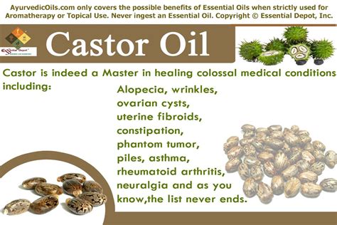 Castor-banner | Castor oil benefits, Essential oils, Uterine fibroids