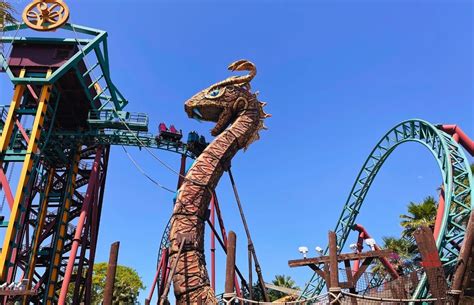 Ride Cobra's Curse Roller Coaster at Busch Gardens and Be Afraid ...