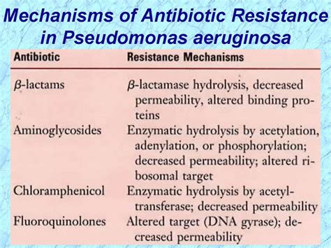 Pseudomonas Aeruginosa Antibiotic Resistance - Carpet Vidalondon