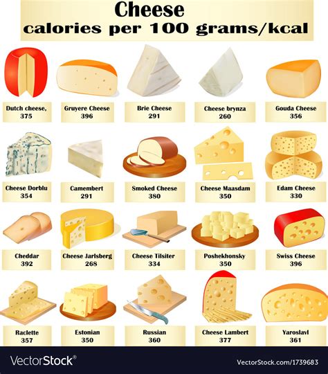 Set of different kinds of cheese Royalty Free Vector Image