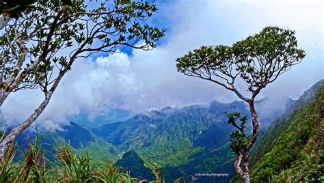 MT. ISAROG NATURAL PARK