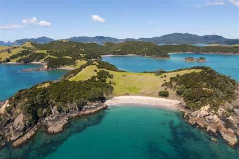 The BEST Bay of Islands Snorkeling 2024 - FREE Cancellation | GetYourGuide