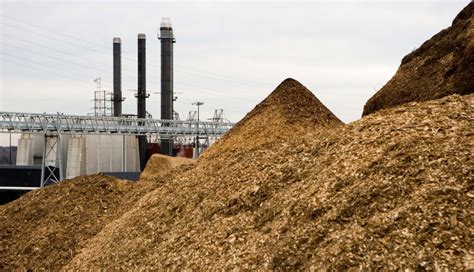 Japan Renewable Energy commissions 24.4-MW biomass plant in Ibaraki ...