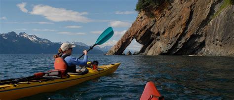 Resurrection Bay Kayaking Tour - GoNorth Alaska