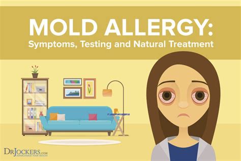 Mold Allergy: Symptoms, Testing and Natural Treatment - DrJockers.com ...