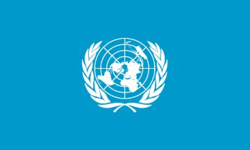 United Nations Organization