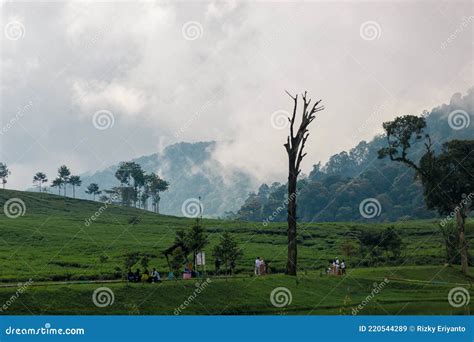 Telaga Saat Puncak Cisarua Bogor Indonesia Stock Image - Image of saat ...