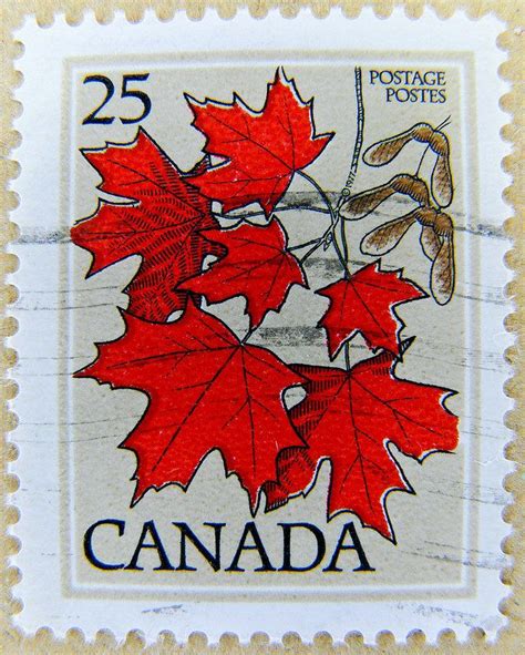 great stamp Canada 25c (maple leaf, Ahornblatt, 枫叶, hoja de acre ...