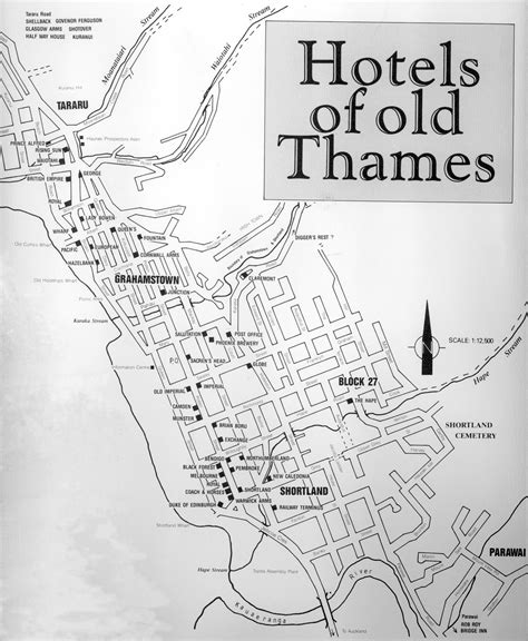 Thames NZ old map | Old map, Thames, Grahamstown