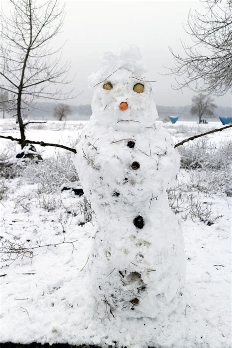 Snowman with a Nose of Carrot and with Eggshell Eyes Stock Photo ...