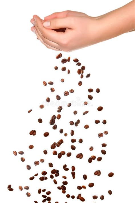 Flavored coffee beans stock photo. Image of food, cappuccino - 22417304