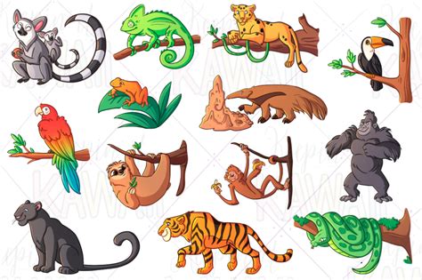 Rainforest Animals Clip Art By Keepin' It Kawaii | TheHungryJPEG