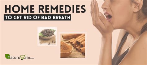 10 Best Home Remedies to Get Rid of Bad Breath Naturally