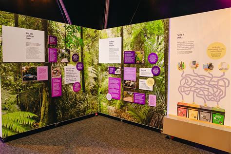 Auckland Zoo celebrates a century of wild life with opening of 100th ...