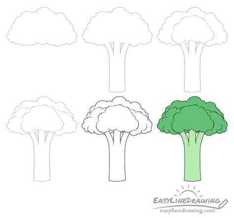 Broccoli Drawing