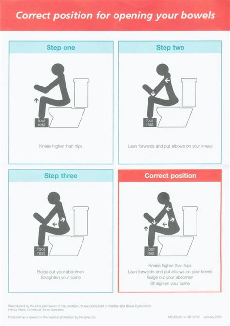 How to poop.. the scientific way - Picture | eBaum's World