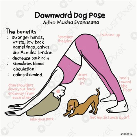 Downward Dog yoga pose and benefits cartoon vector illustration - stock ...