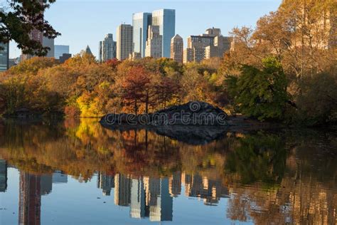 Central Park sunrise stock photo. Image of york, summer - 20003944