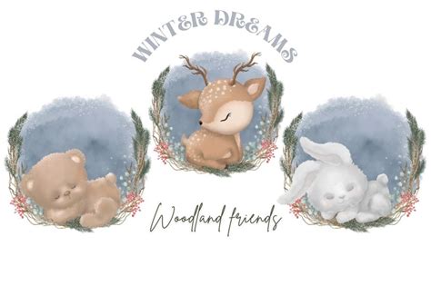 Winter Woodland Animals Clipart Graphic by KatrinSharmArt · Creative ...