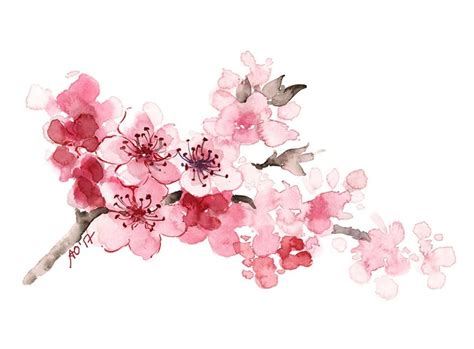 Cherry Blossom Watercolor at GetDrawings | Free download