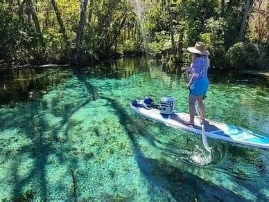 Silver Springs Wildlife Clear Paddleboarding & Clear Kayaking Tour