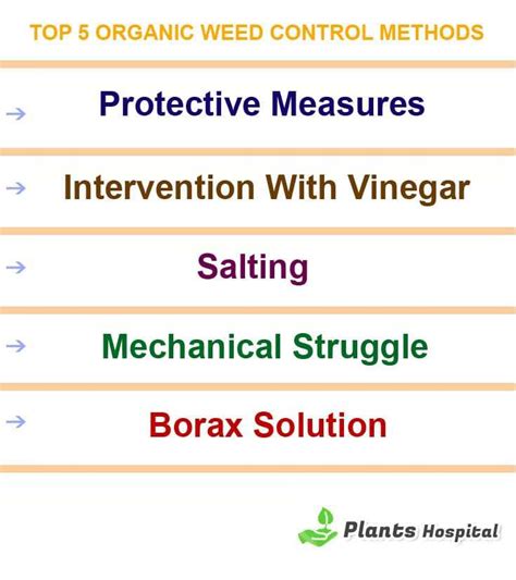 14 Proven Organic Weed Control Methods: Mechanical & Chemical Control