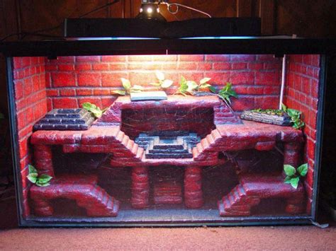 Diy Bearded Dragon Enclosure Decor : Image #beardeddragoncage | Bearded ...