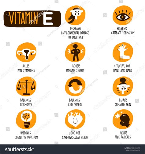 Vitamin E Health Benefits Funny Infographic Stock Vector (Royalty Free ...