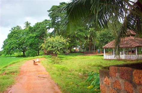 Journey is Life: Orissa - 64 Yogini temple, Hirapur